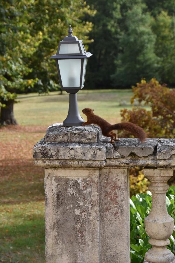 Chateau De Laroche Bed & Breakfast Vianne Dış mekan fotoğraf